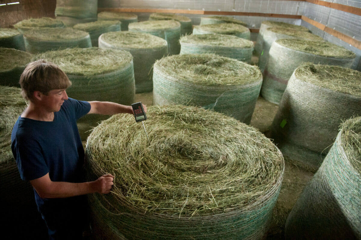 The Future of Hay Drying in America